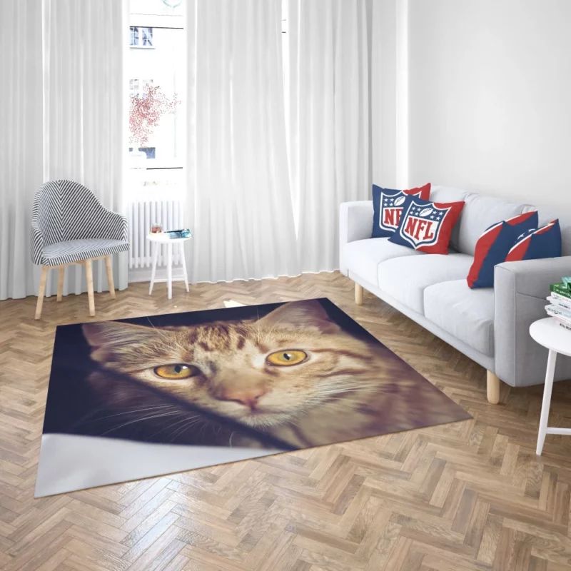 Feline Fascination Cat Mysterious Stare Rug 2