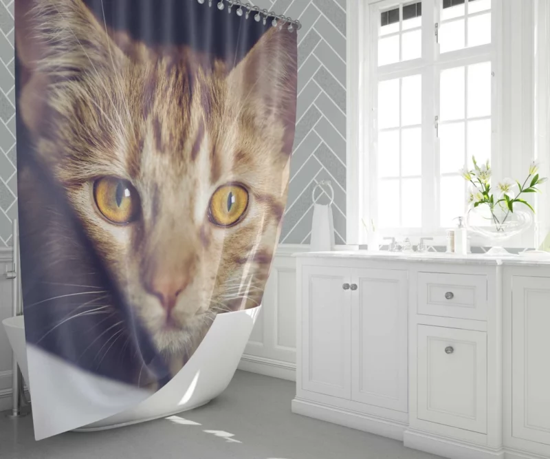 Feline Fascination Cat Mysterious Stare Shower Curtain 1