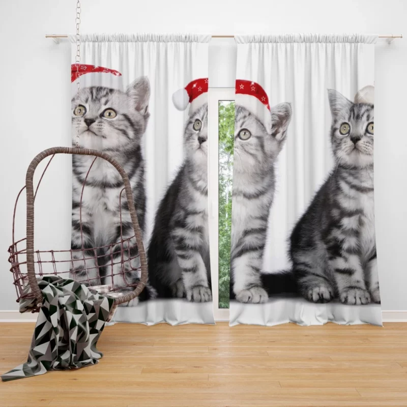 Feline Festive Greetings Santa Whiskers Curtain