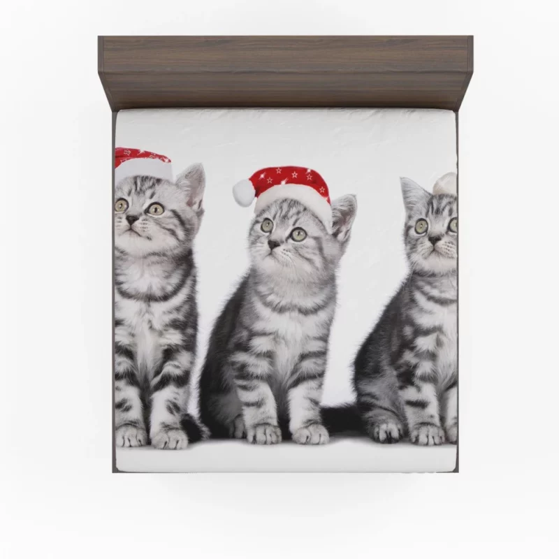 Feline Festive Greetings Santa Whiskers Fitted Sheet 1