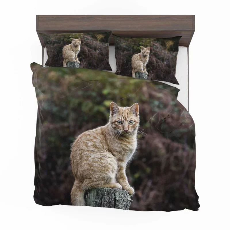 Feline Gaze in Depth Enigmatic Presence Bedding Set 1