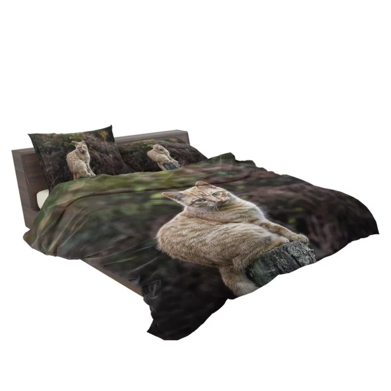 Feline Gaze in Depth Enigmatic Presence Bedding Set 2