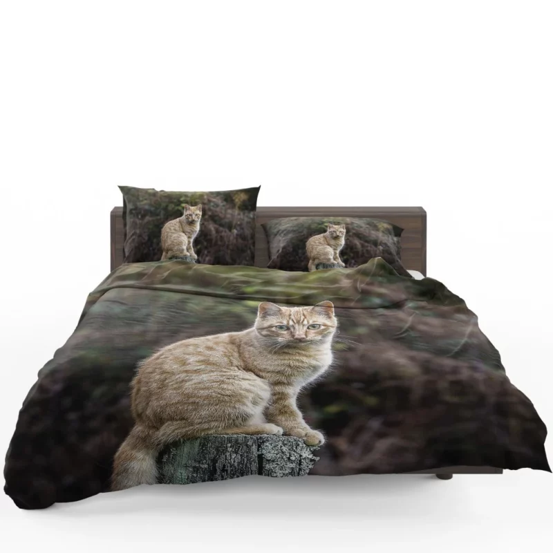 Feline Gaze in Depth Enigmatic Presence Bedding Set