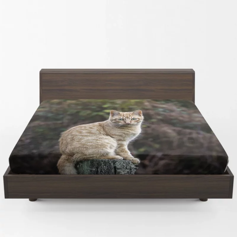 Feline Gaze in Depth Enigmatic Presence Fitted Sheet