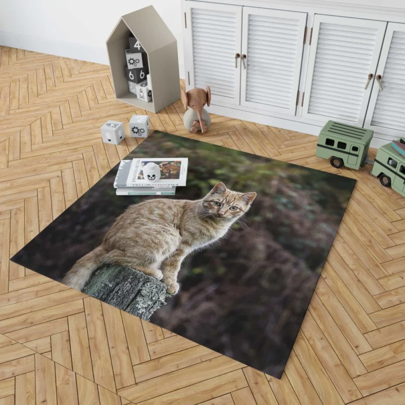 Feline Gaze in Depth Enigmatic Presence Rug 1