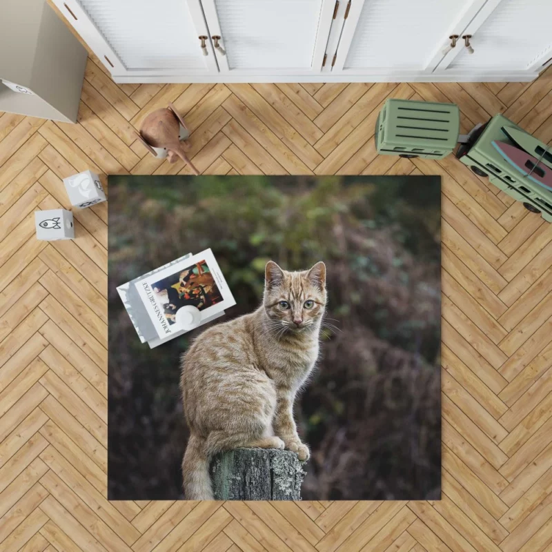 Feline Gaze in Depth Enigmatic Presence Rug