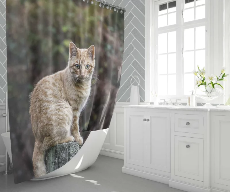 Feline Gaze in Depth Enigmatic Presence Shower Curtain 1