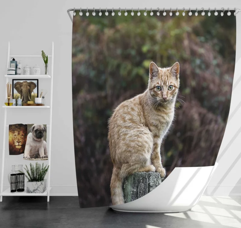 Feline Gaze in Depth Enigmatic Presence Shower Curtain