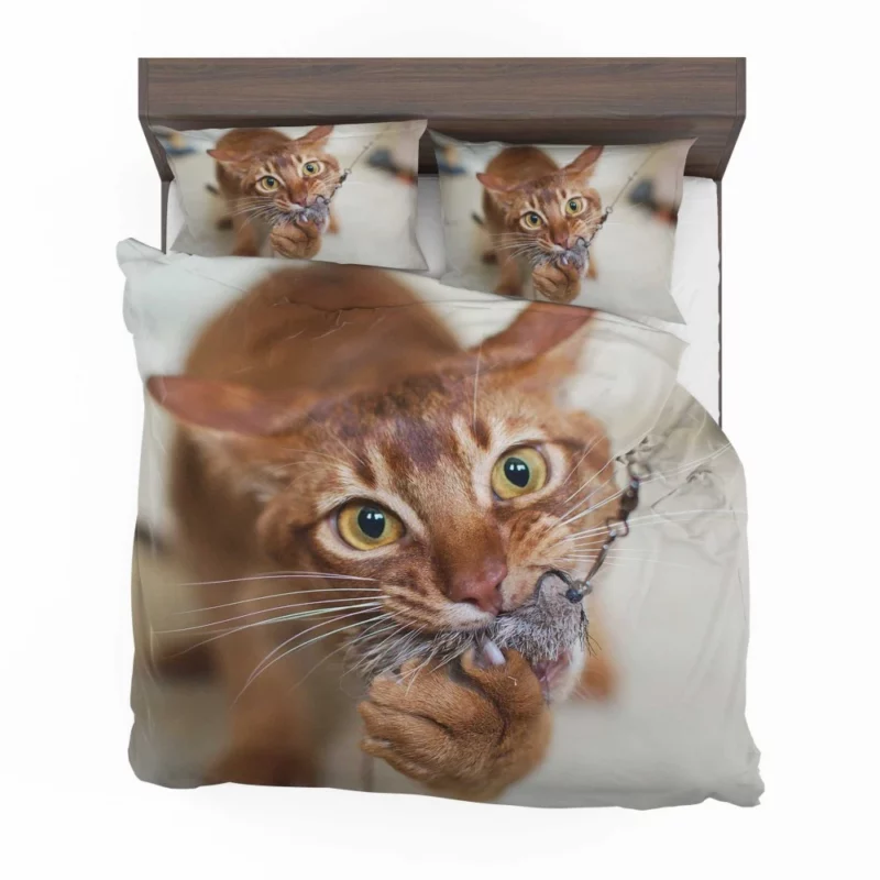 Feline Grace Siamese Cat Elegance Bedding Set 1