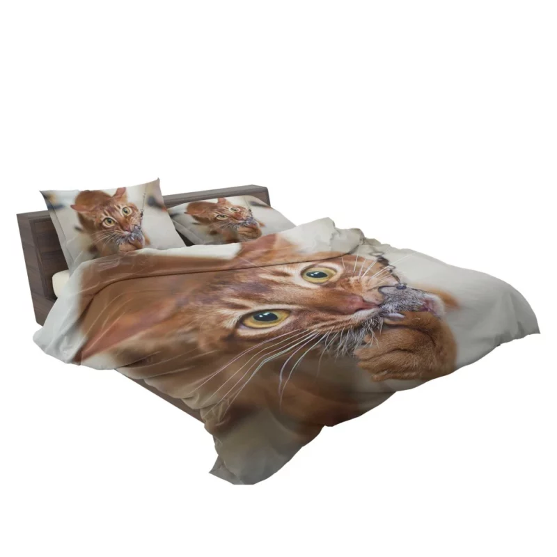 Feline Grace Siamese Cat Elegance Bedding Set 2