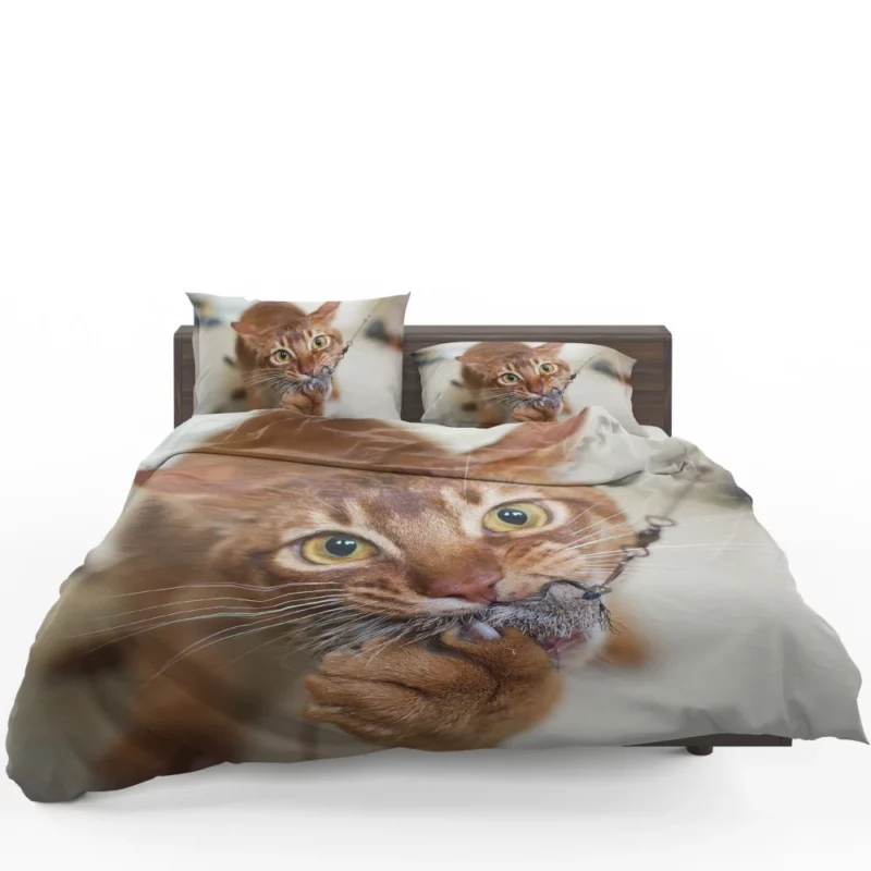 Feline Grace Siamese Cat Elegance Bedding Set