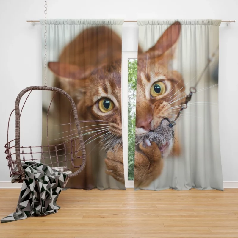 Feline Grace Siamese Cat Elegance Curtain