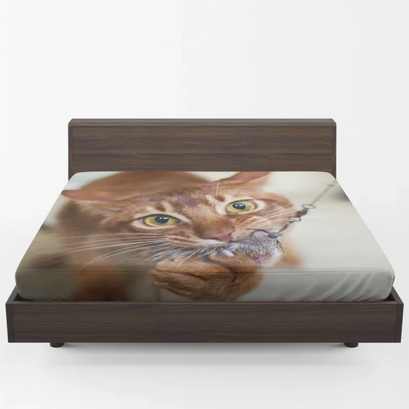 Feline Grace Siamese Cat Elegance Fitted Sheet