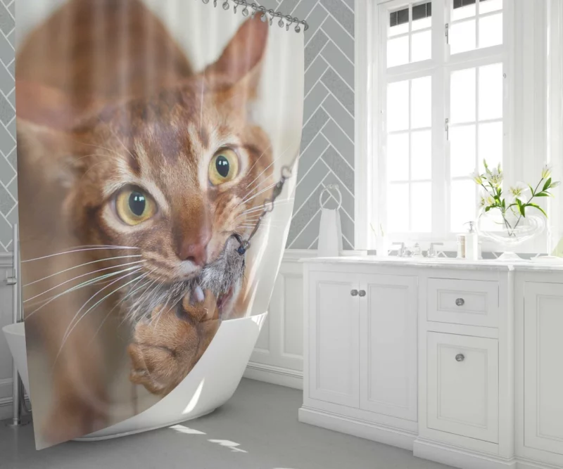 Feline Grace Siamese Cat Elegance Shower Curtain 1