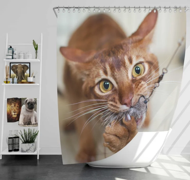 Feline Grace Siamese Cat Elegance Shower Curtain