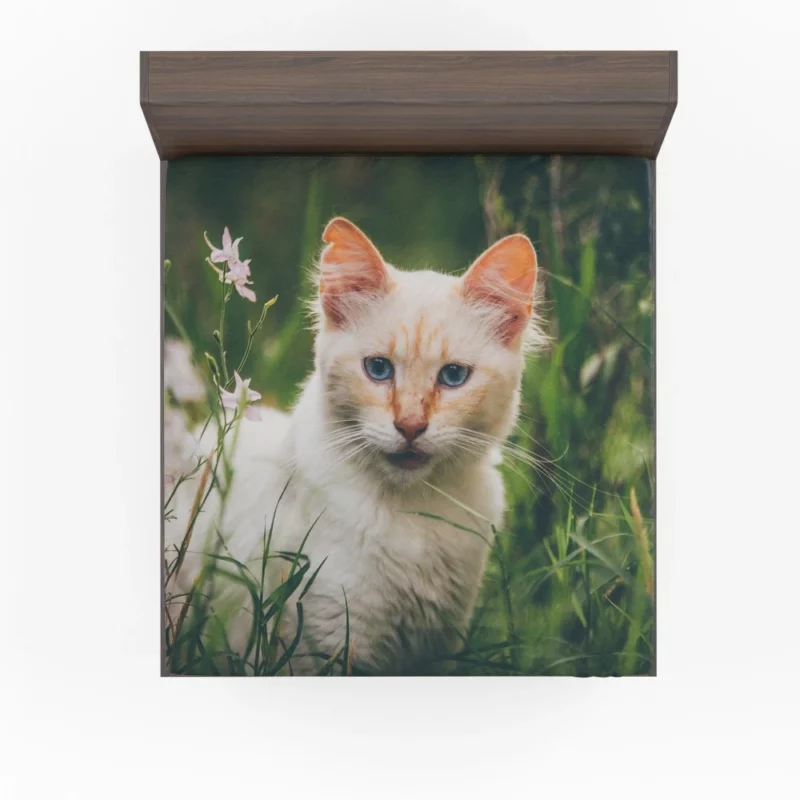 Feline Grace in Winter Wonderland Fitted Sheet 1