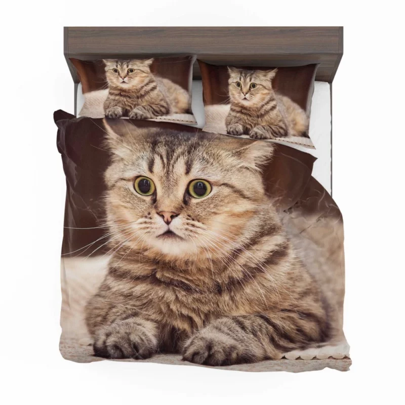 Feline Playfulness Whiskered Charm Bedding Set 1