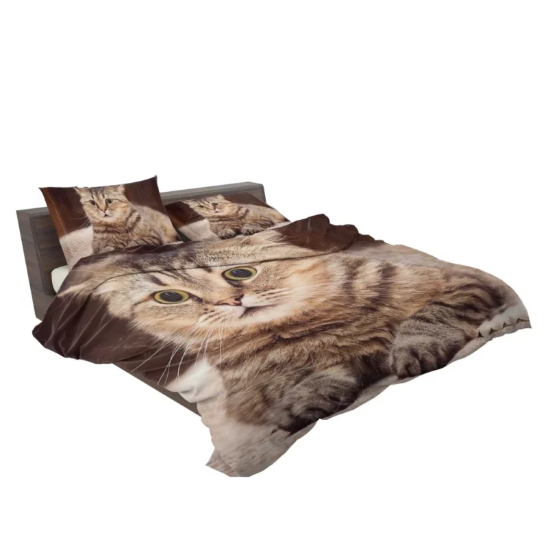 Feline Playfulness Whiskered Charm Bedding Set 2