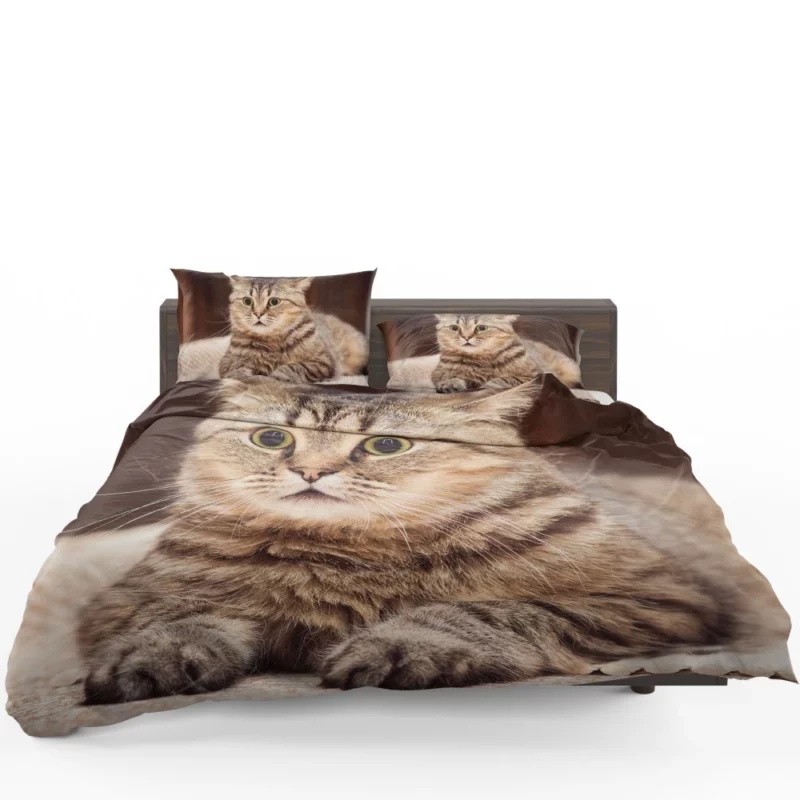 Feline Playfulness Whiskered Charm Bedding Set