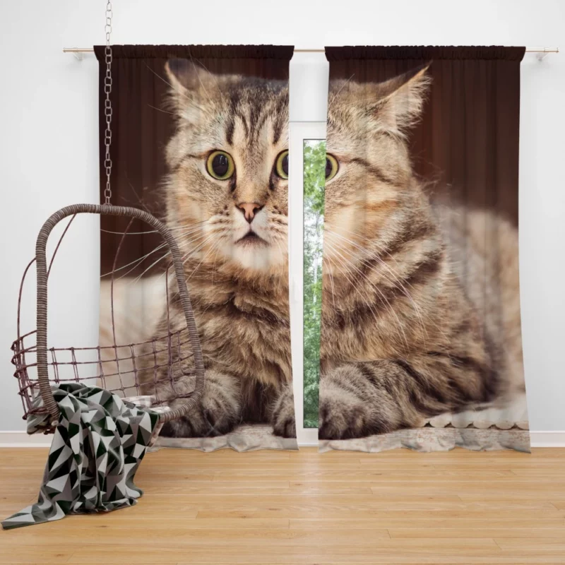 Feline Playfulness Whiskered Charm Curtain