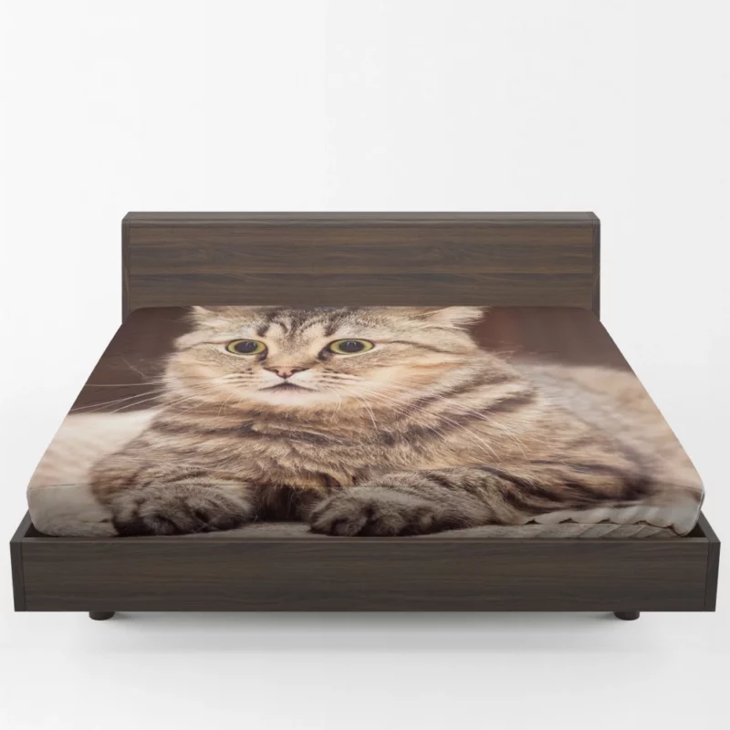 Feline Playfulness Whiskered Charm Fitted Sheet