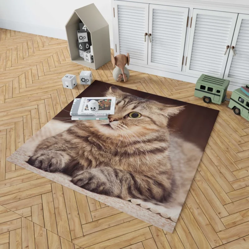 Feline Playfulness Whiskered Charm Rug 1