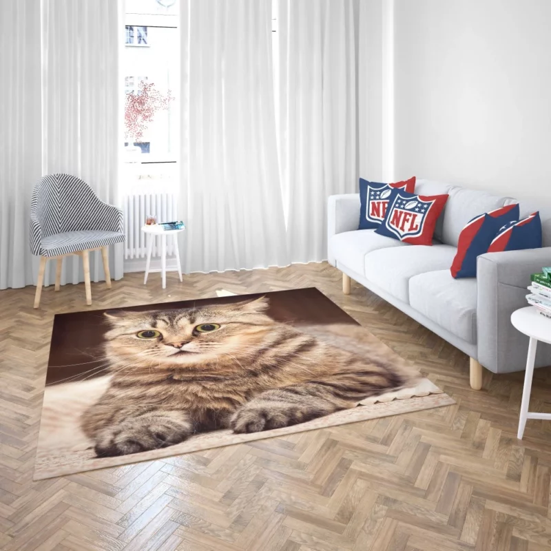 Feline Playfulness Whiskered Charm Rug 2