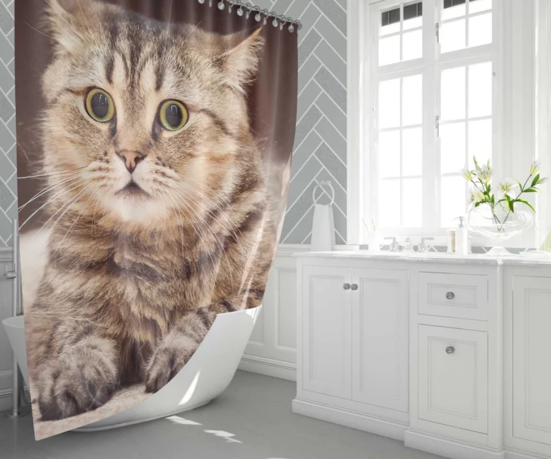 Feline Playfulness Whiskered Charm Shower Curtain 1