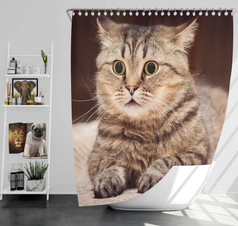 Feline Playfulness Whiskered Charm Shower Curtain