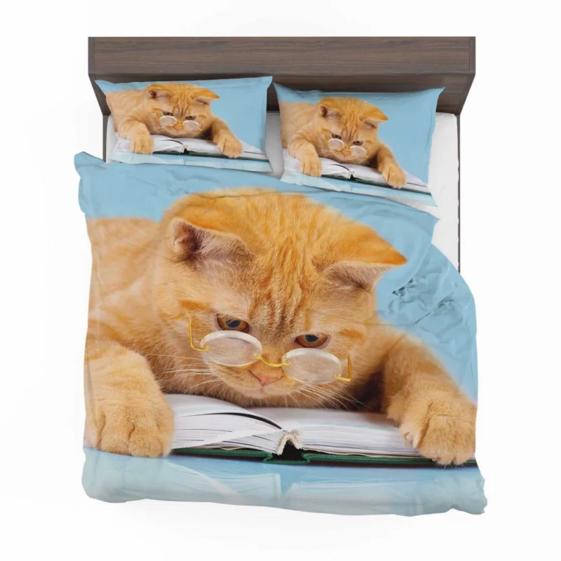 Feline Scholar Glasses & Books Bedding Set 1