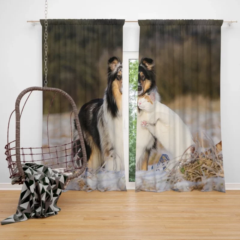 Feline and Canine Companionship Adorable Curtain