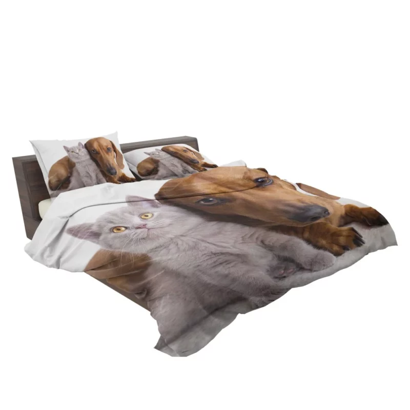 Feline and Canine Friends Playful Camaraderie Bedding Set 2