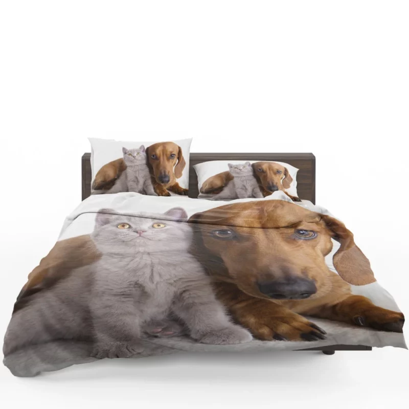 Feline and Canine Friends Playful Camaraderie Bedding Set