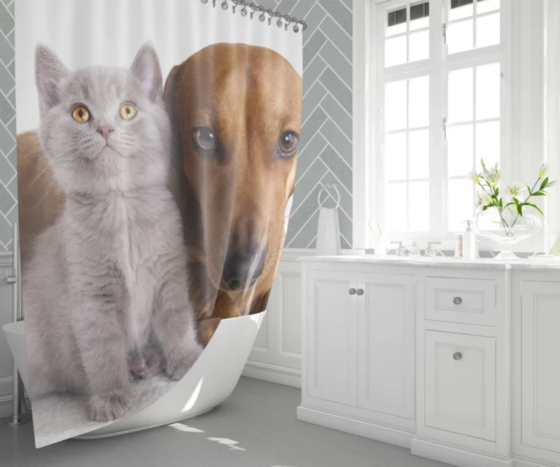 Feline and Canine Friends Playful Camaraderie Shower Curtain 1