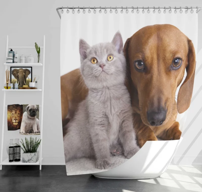 Feline and Canine Friends Playful Camaraderie Shower Curtain