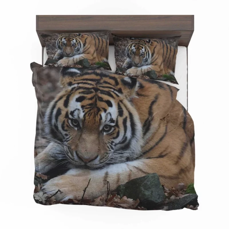 Fierce Grace Tiger Magnificent Bedding Set 1