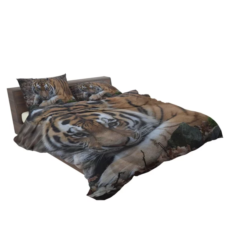 Fierce Grace Tiger Magnificent Bedding Set 2