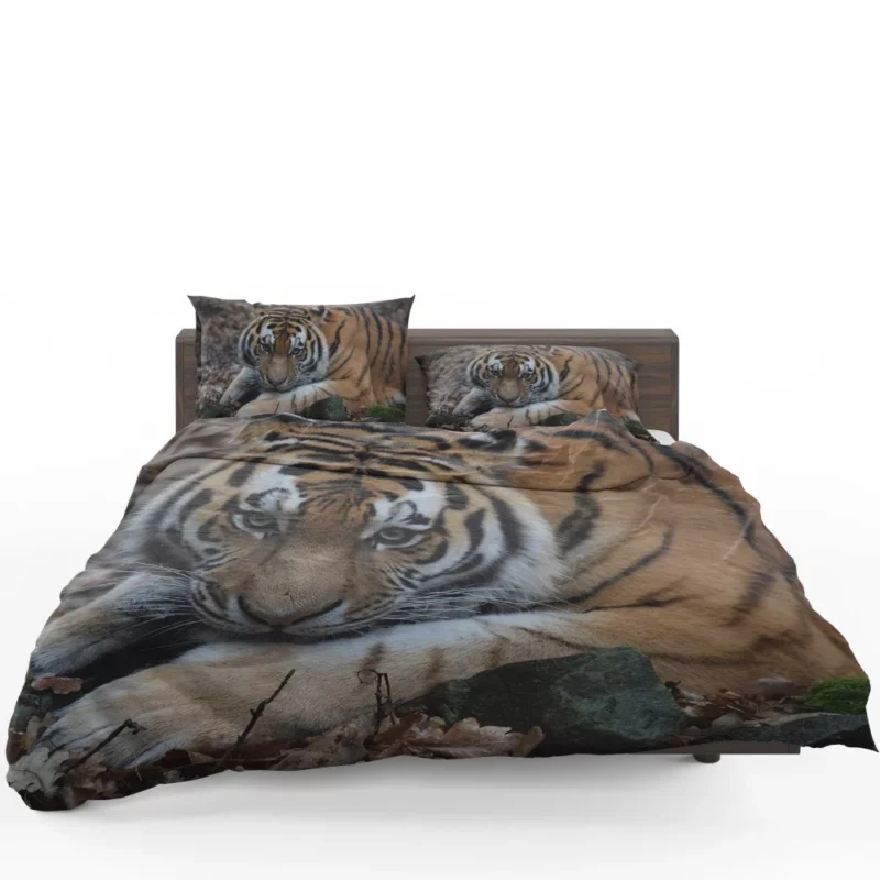 Fierce Grace Tiger Magnificent Bedding Set