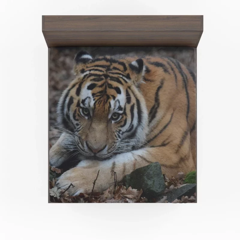 Fierce Grace Tiger Magnificent Fitted Sheet 1