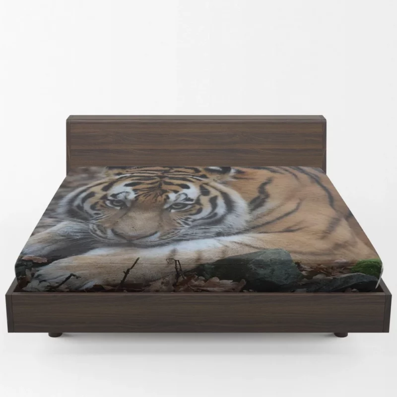 Fierce Grace Tiger Magnificent Fitted Sheet