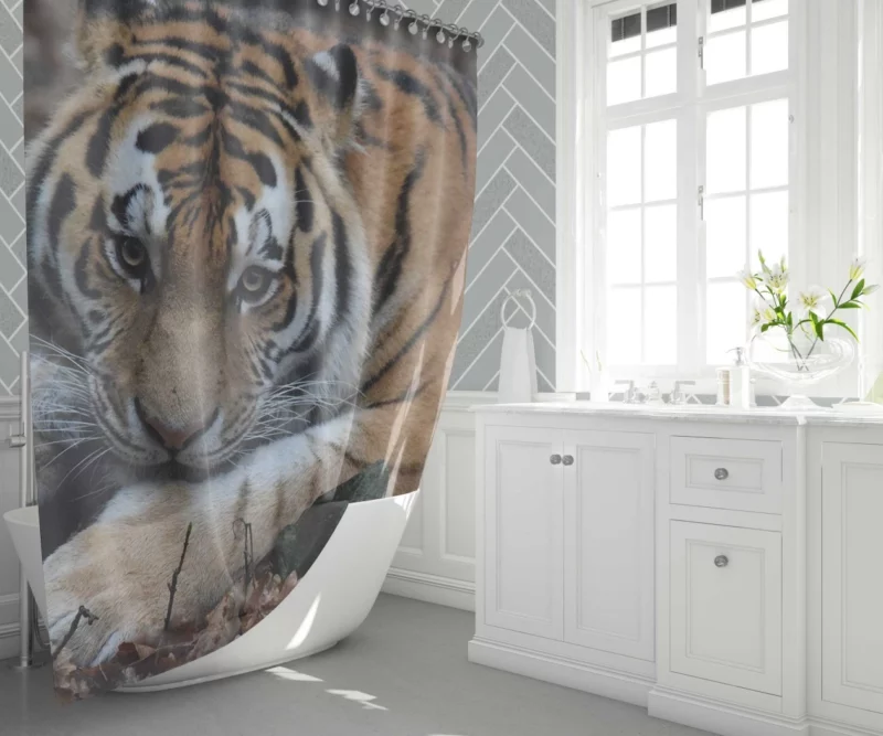 Fierce Grace Tiger Magnificent Shower Curtain 1