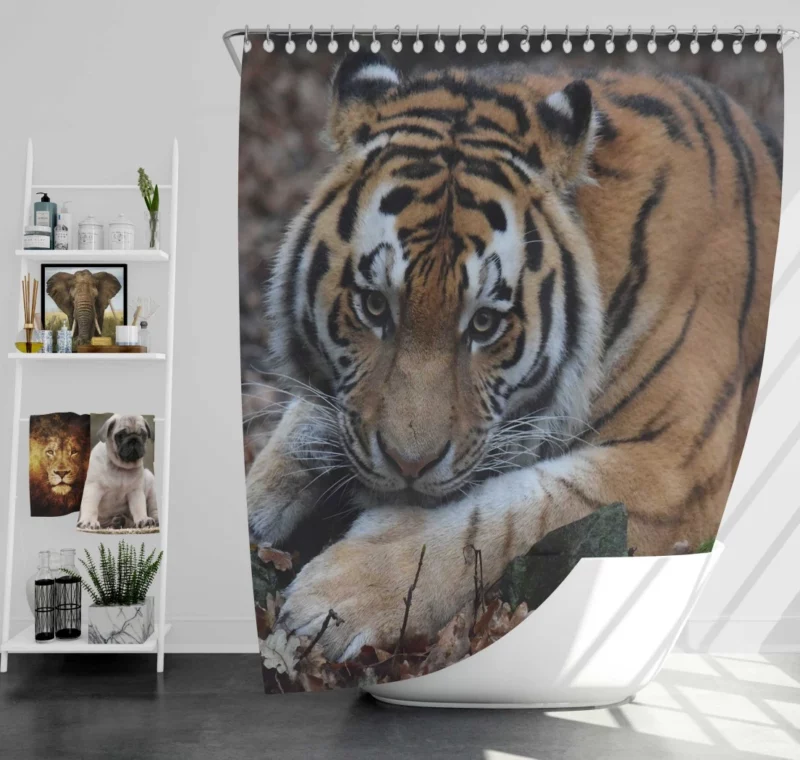 Fierce Grace Tiger Magnificent Shower Curtain