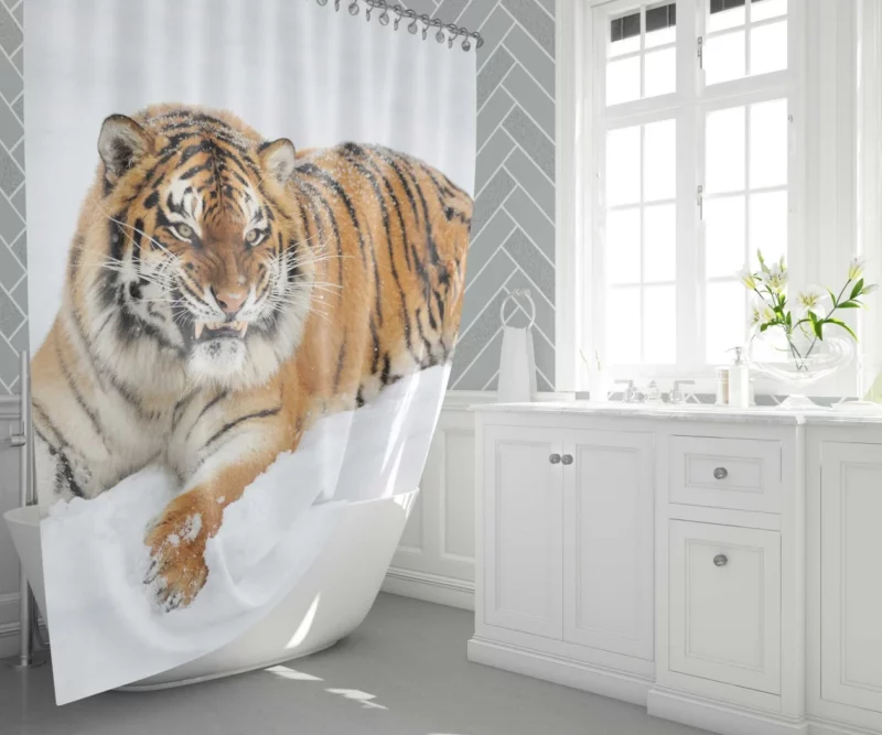 Fierce Grace Tiger Majesty Shower Curtain 1