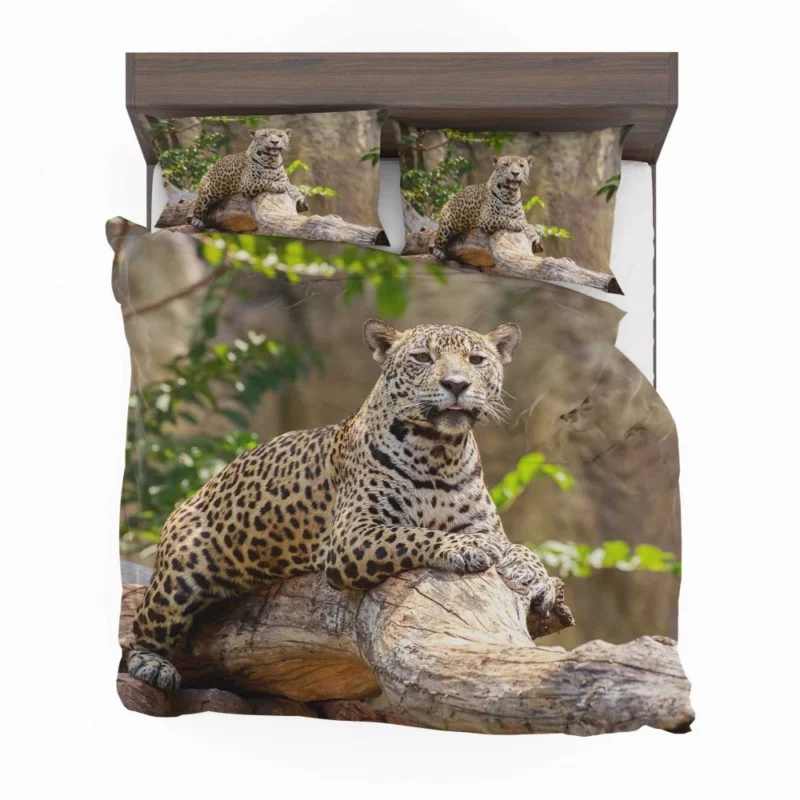 Fierce Leopard Wild Bedding Set 1