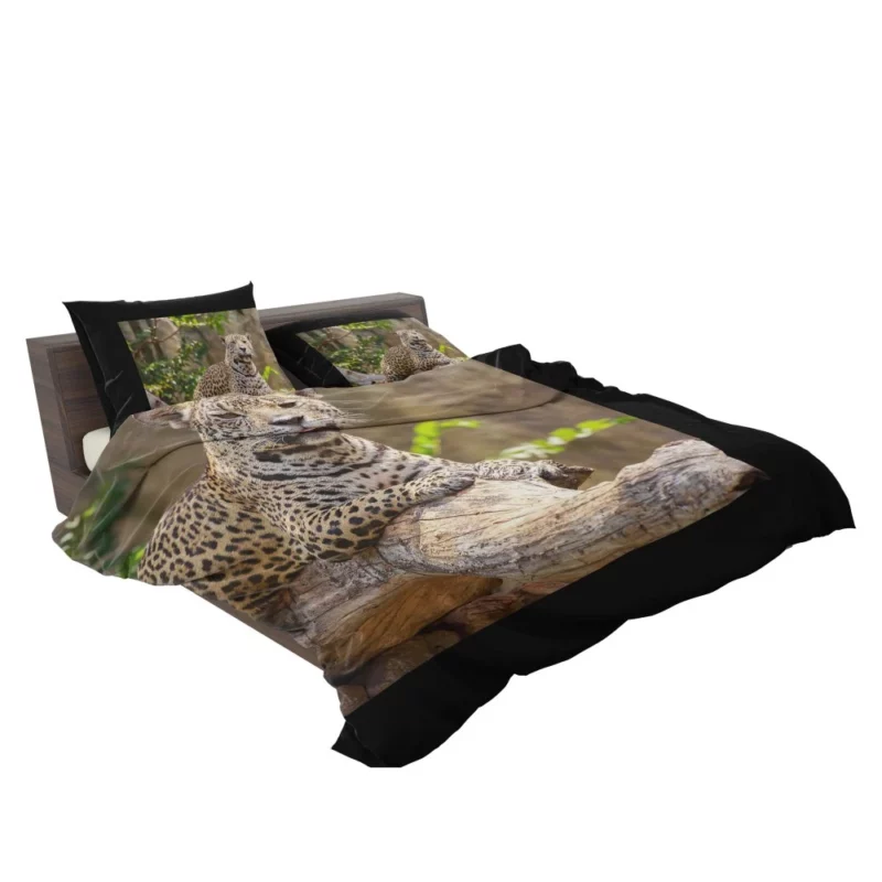 Fierce Leopard Wild Bedding Set 2