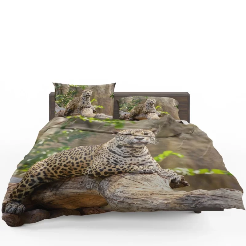 Fierce Leopard Wild Bedding Set