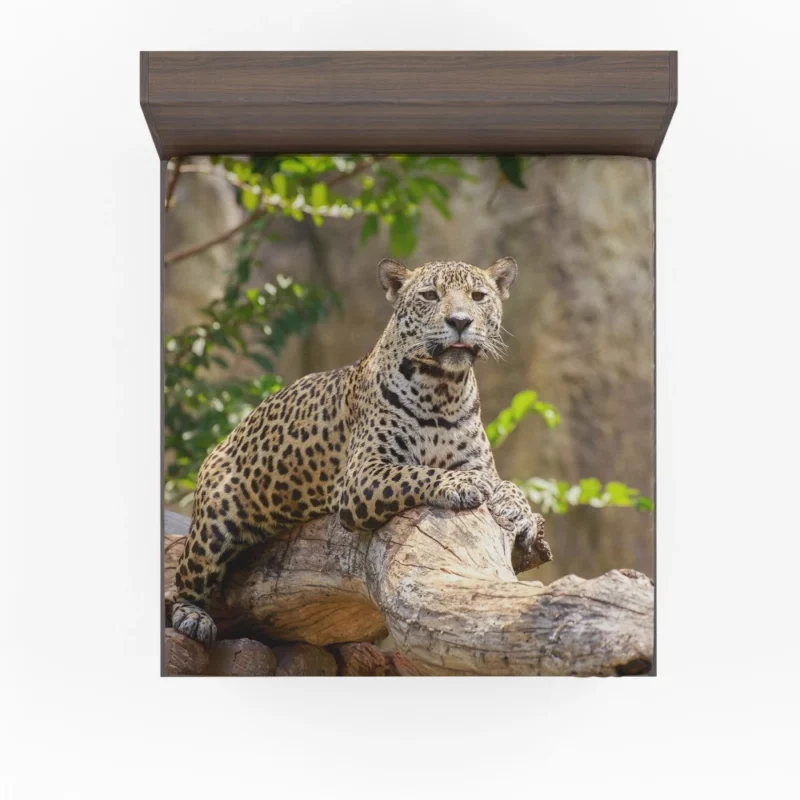 Fierce Leopard Wild Fitted Sheet 1