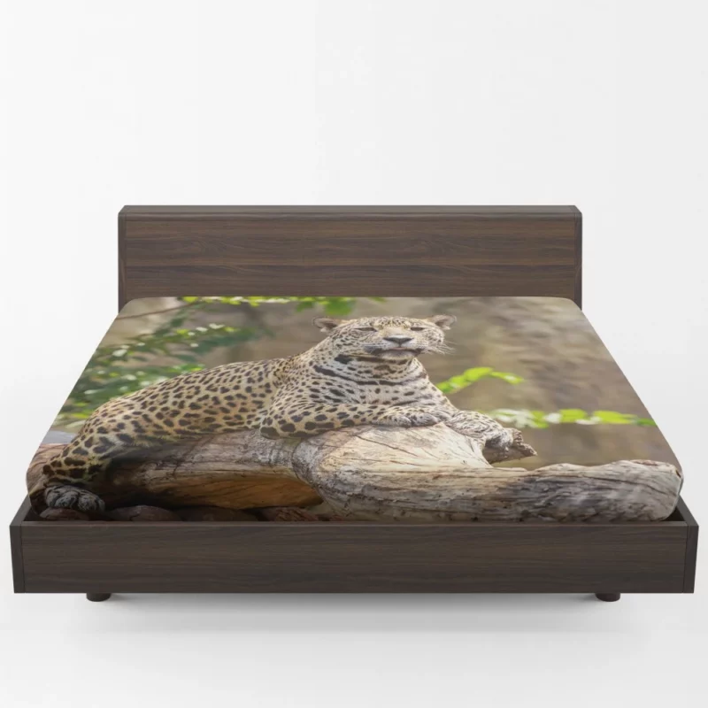 Fierce Leopard Wild Fitted Sheet