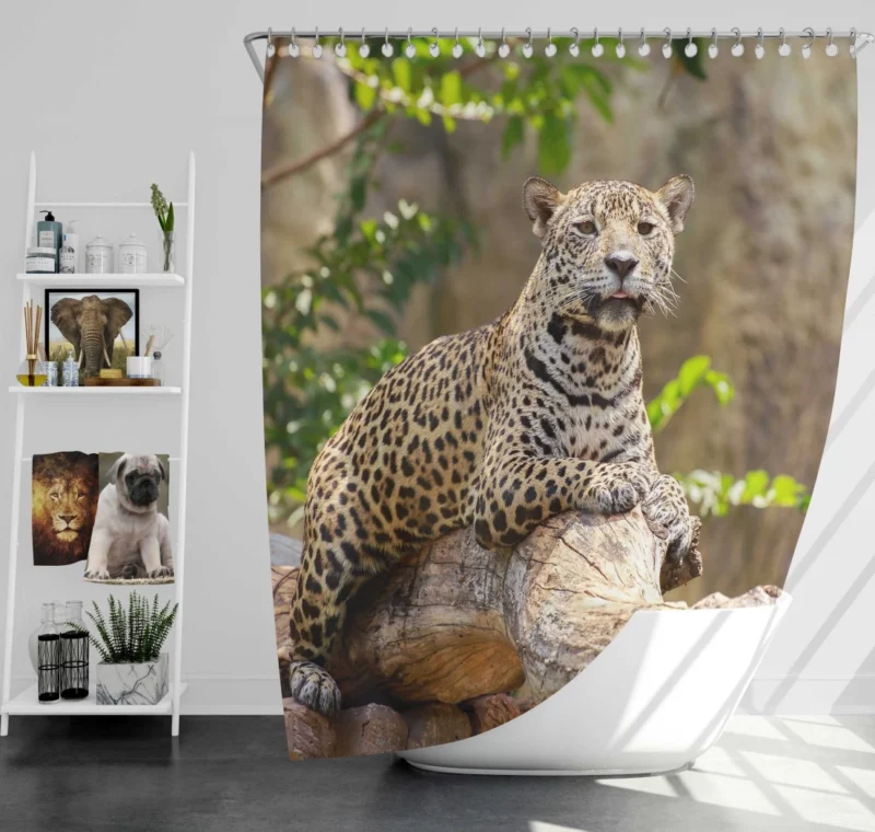 Fierce Leopard Wild Shower Curtain