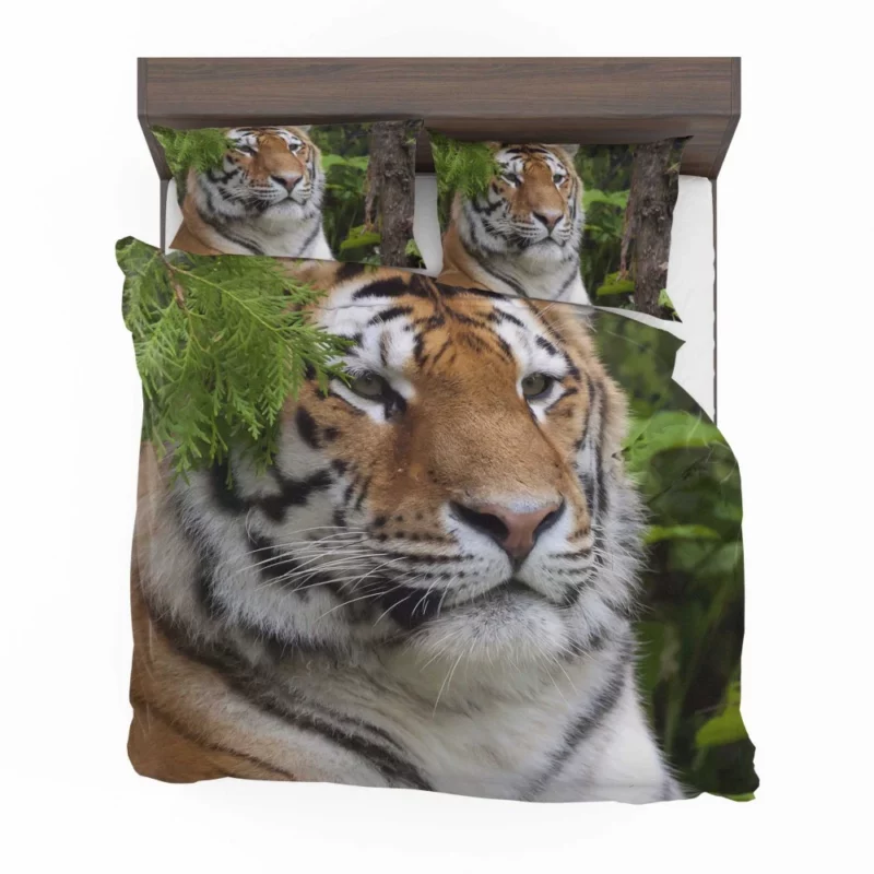 Fierce Tiger Captivating Gaze Bedding Set 1